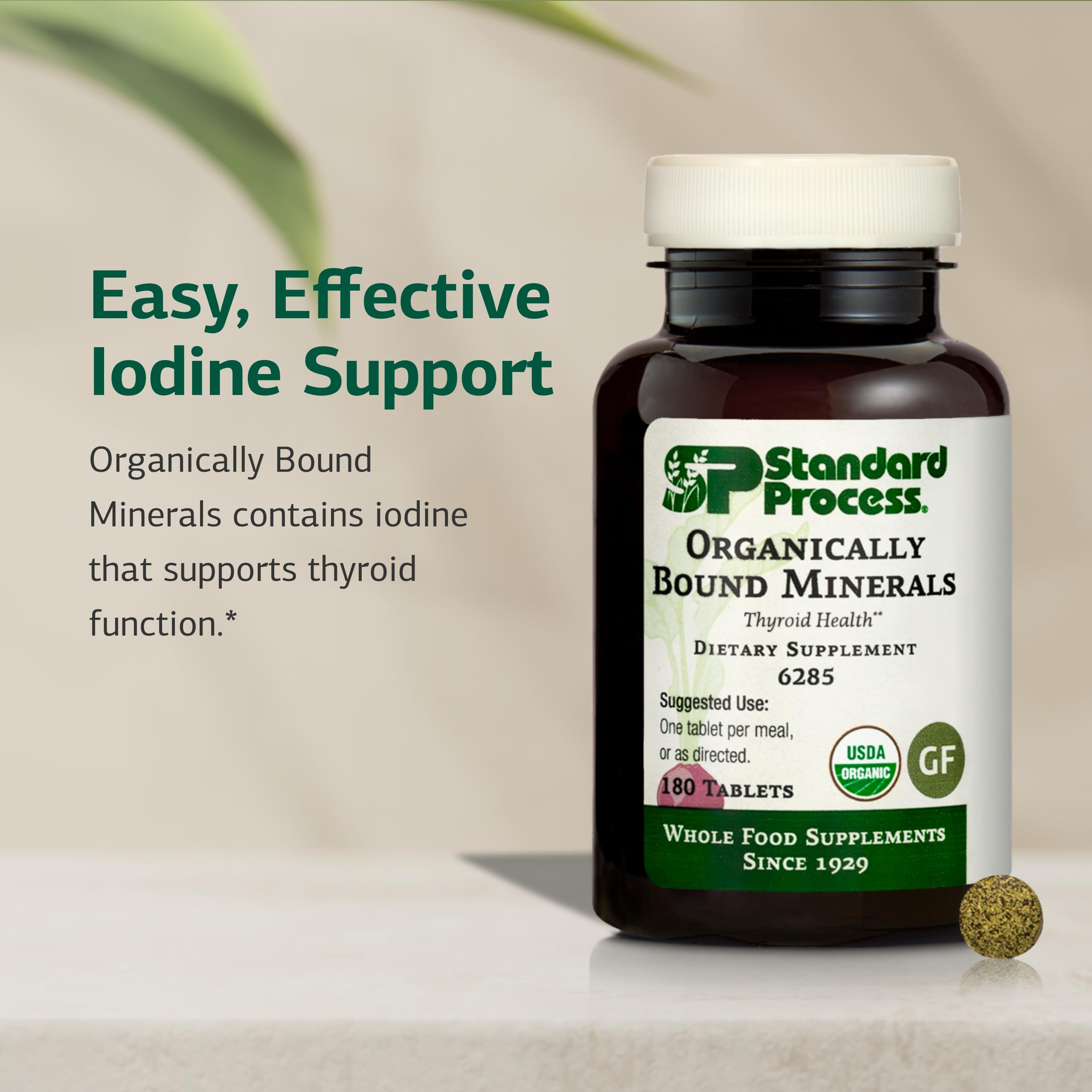 Close-up of Organically Bound Minerals tablets texture