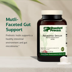 Graphic illustrating gut health and prebiotic inulin concept