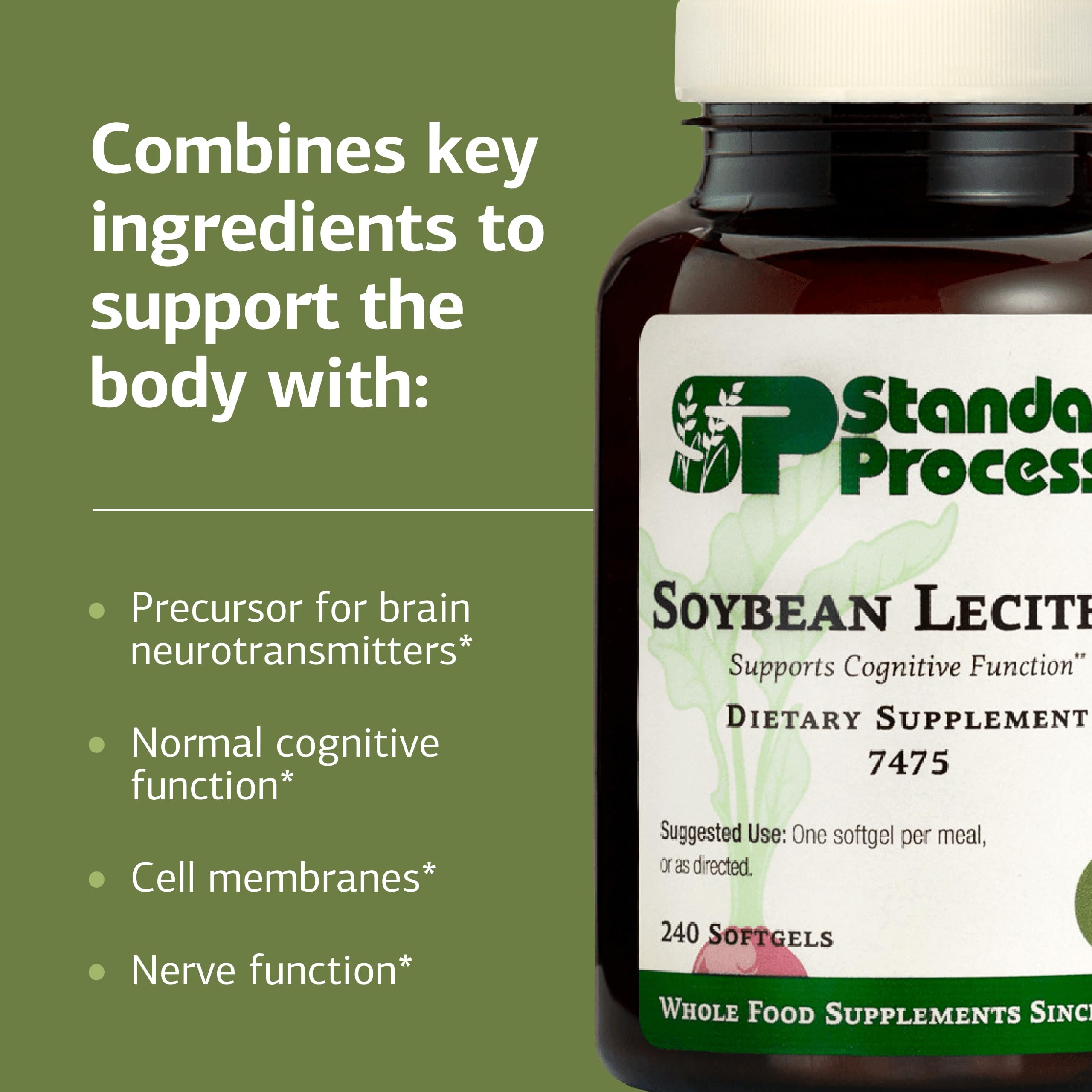 Ingredients overview of Standard Process Soybean Lecithin