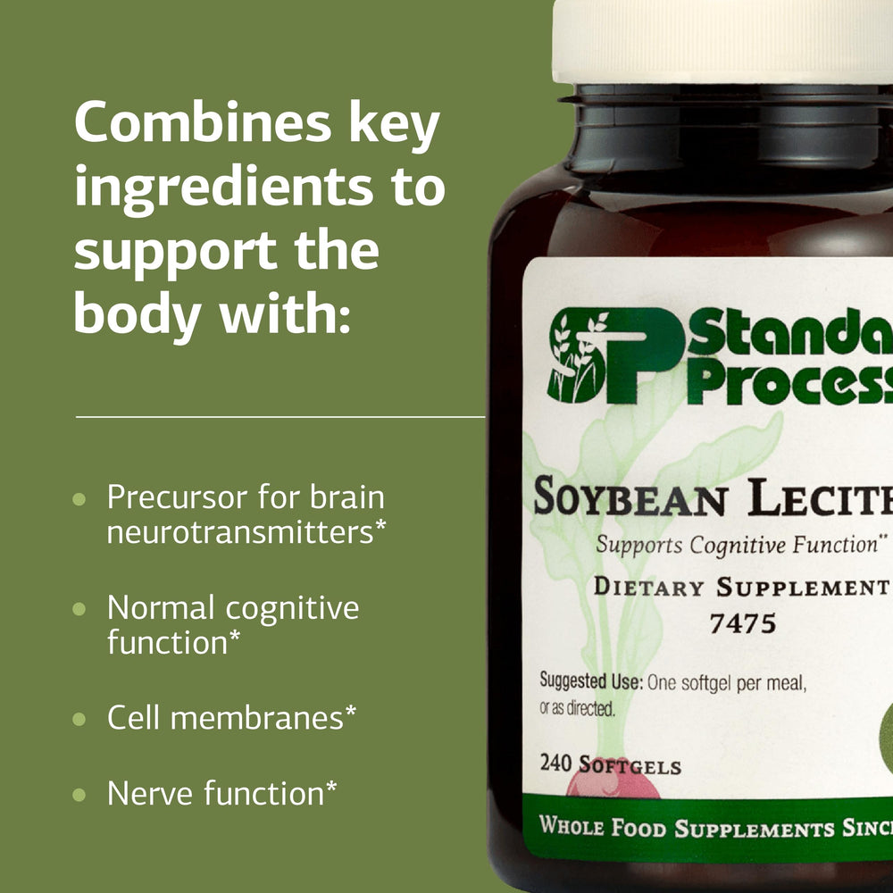 Ingredients overview of Standard Process Soybean Lecithin