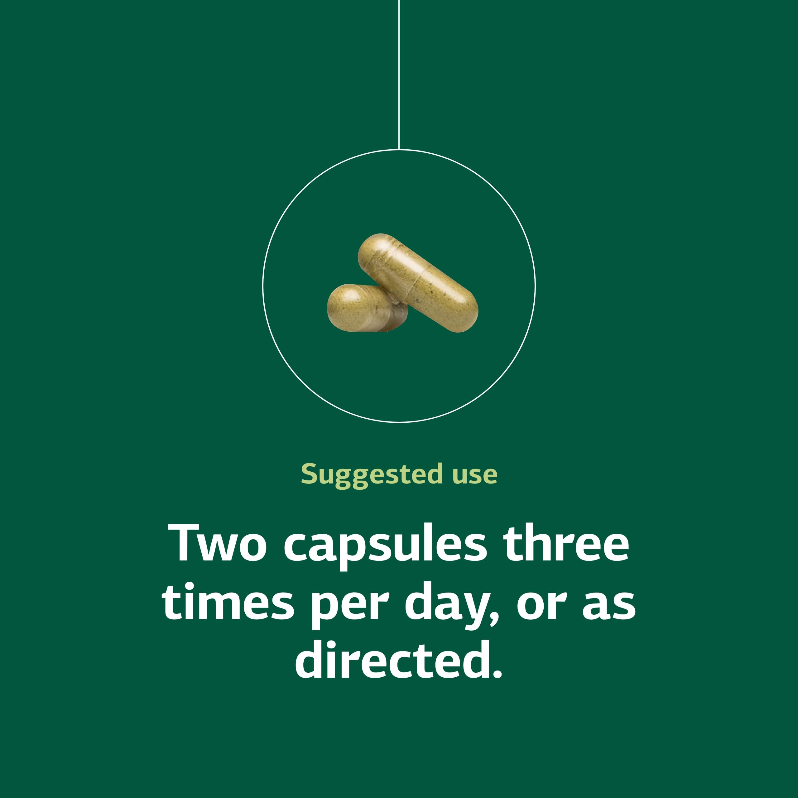 SP Green Food Brussels sprouts emphasize nutrient-dense greens for daily nourishment.