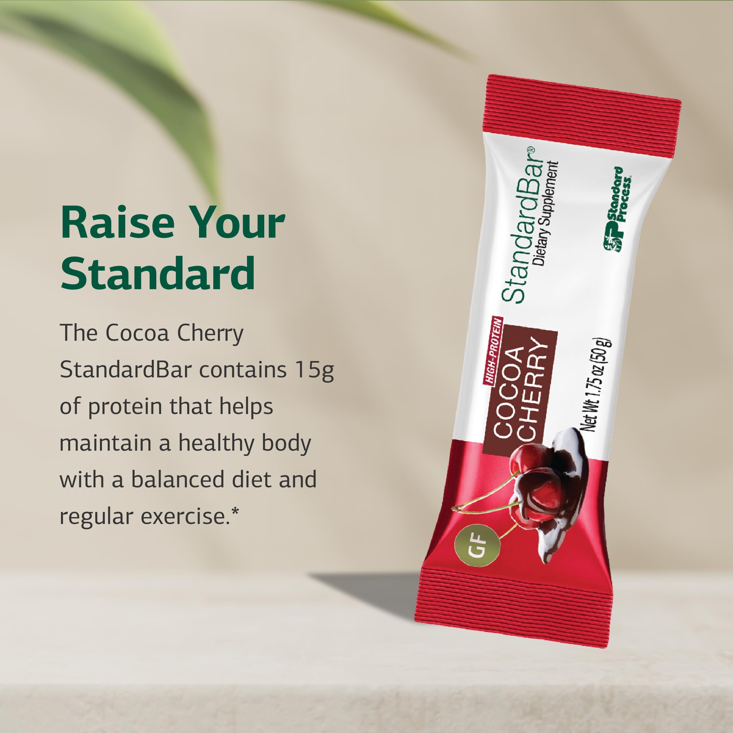 Standard Process StandardBar Cocoa Cherry close-up shows protein-rich texture