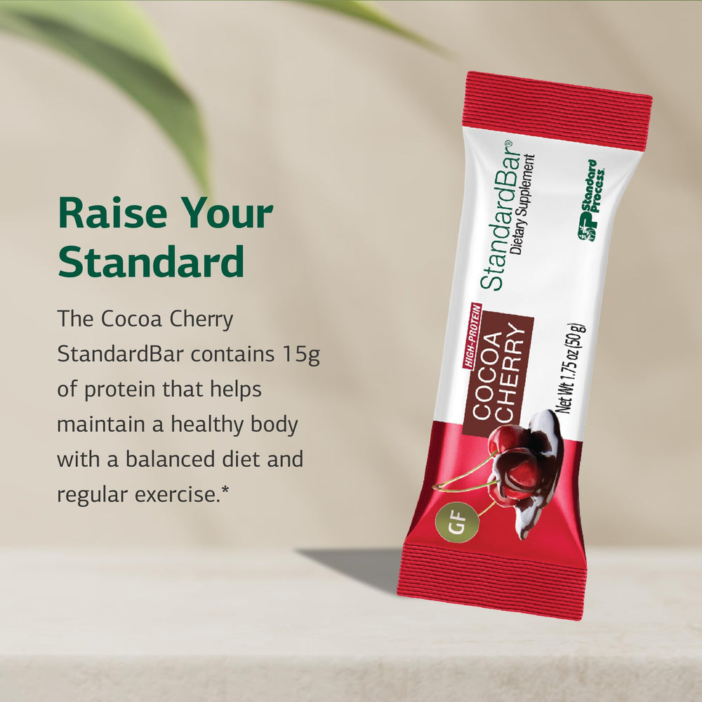 Standard Process StandardBar Cocoa Cherry close-up shows protein-rich texture