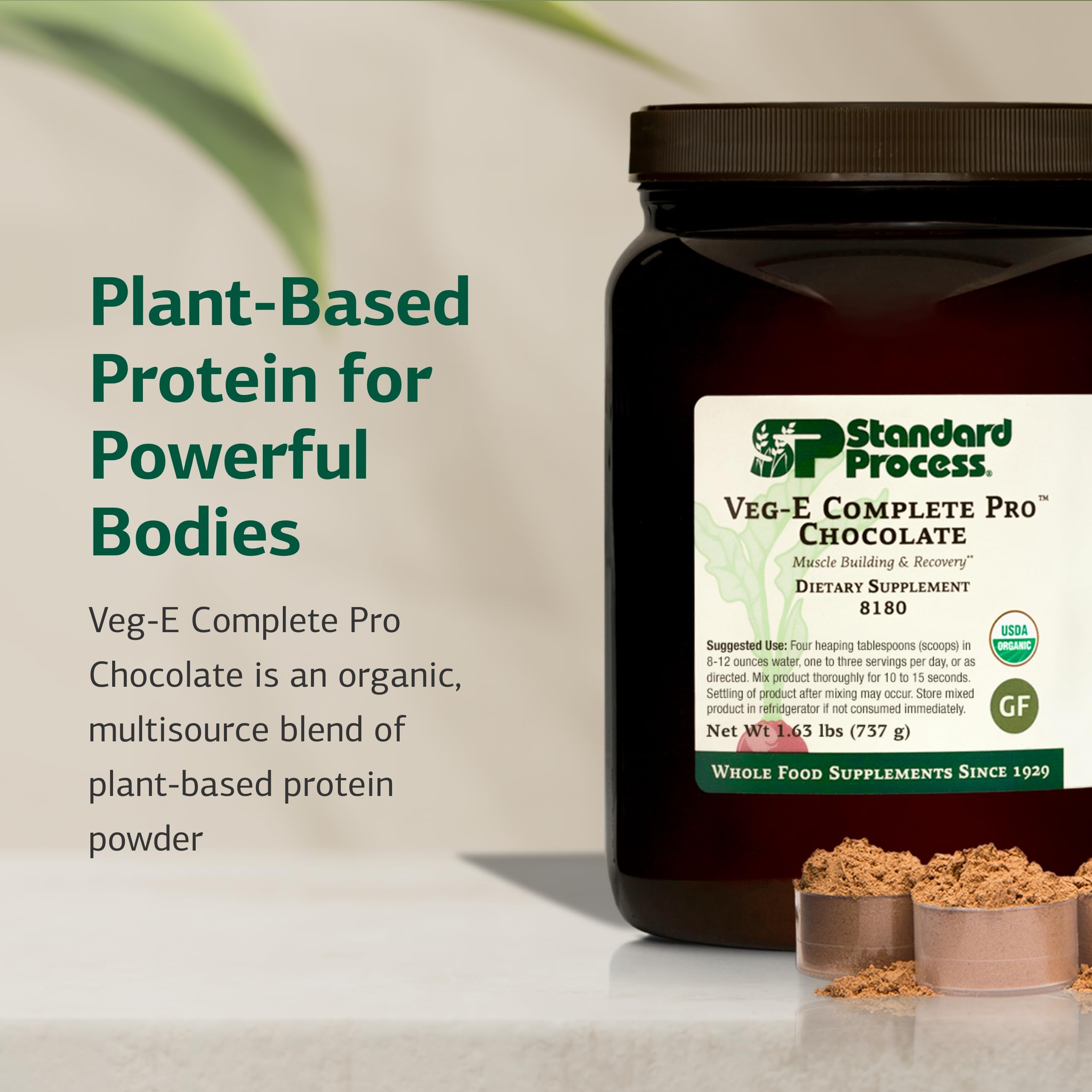 Standard Process Veg-E Complete Pro chocolate powder scoop closeup shows organic pea, pumpkin seed, and sesame proteins.