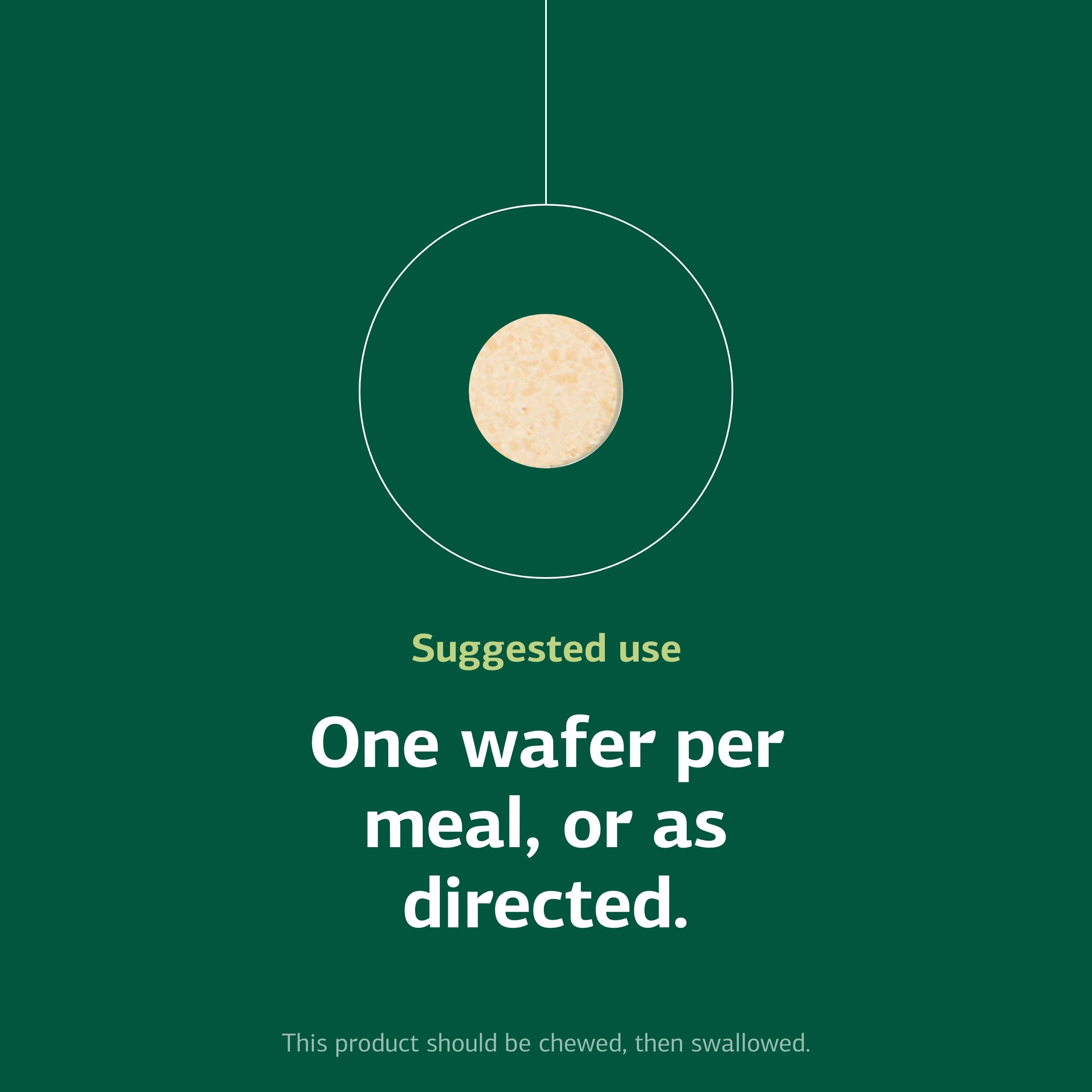 Lactic Acid Yeast wafers on a table ready for daily gut support routine from Standard Process.