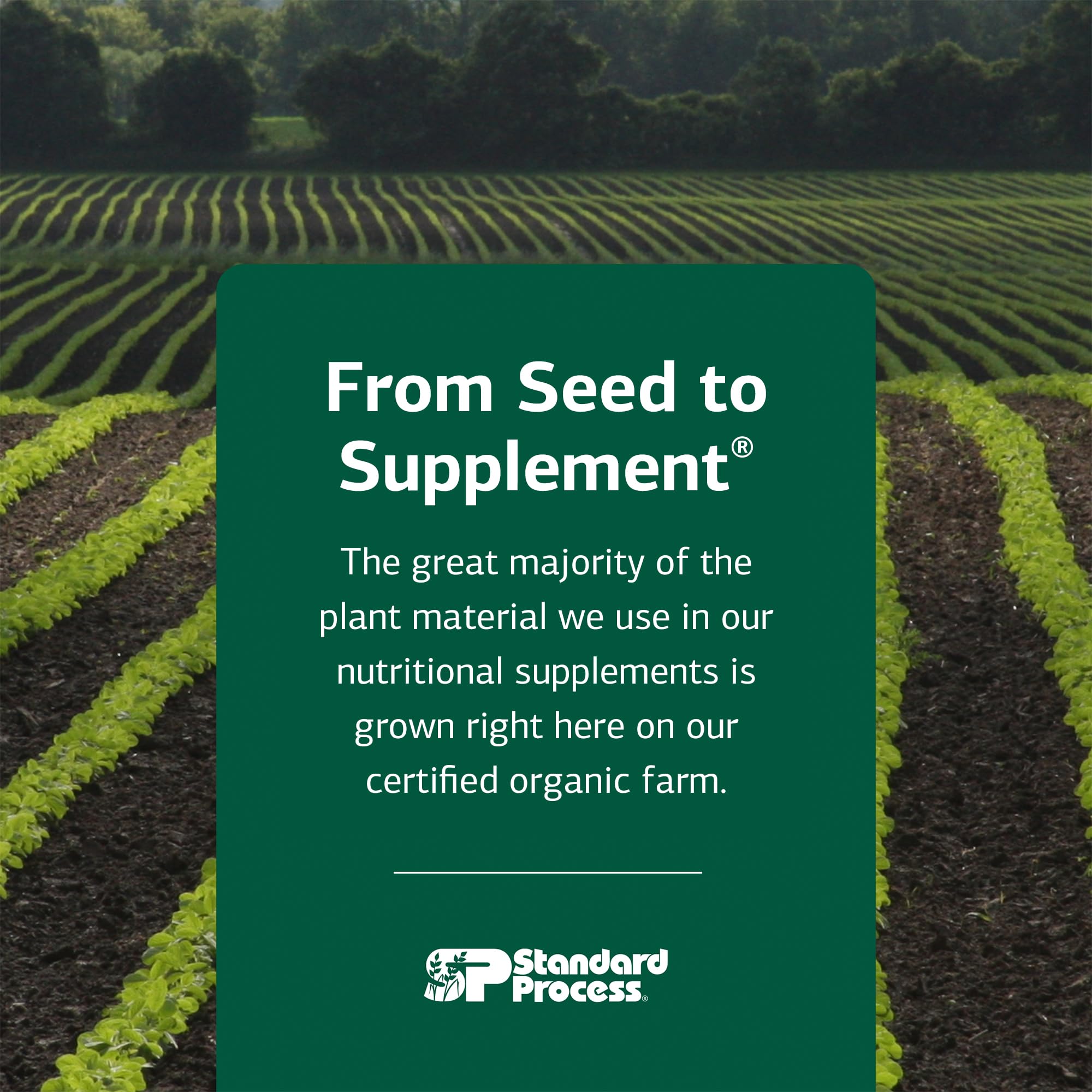 Graphic illustrating folate and B12 benefits