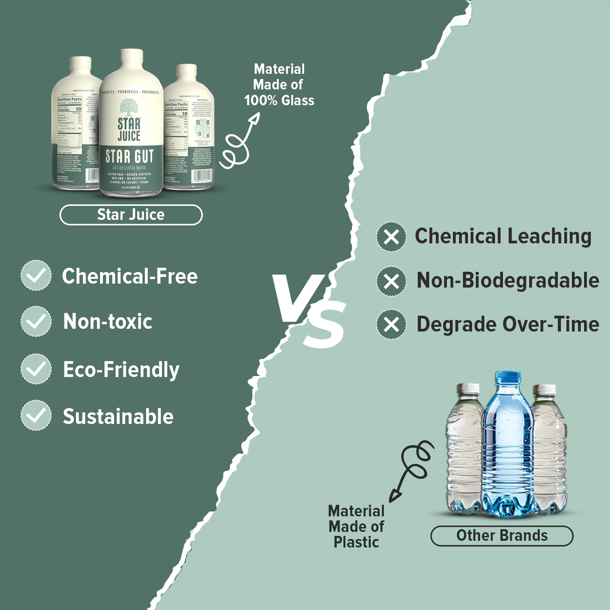 Concept image focused on gut health, digestion and immune support