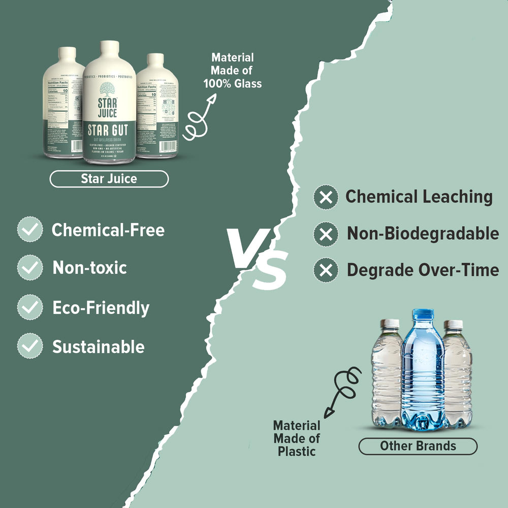 Concept image focused on gut health, digestion and immune support