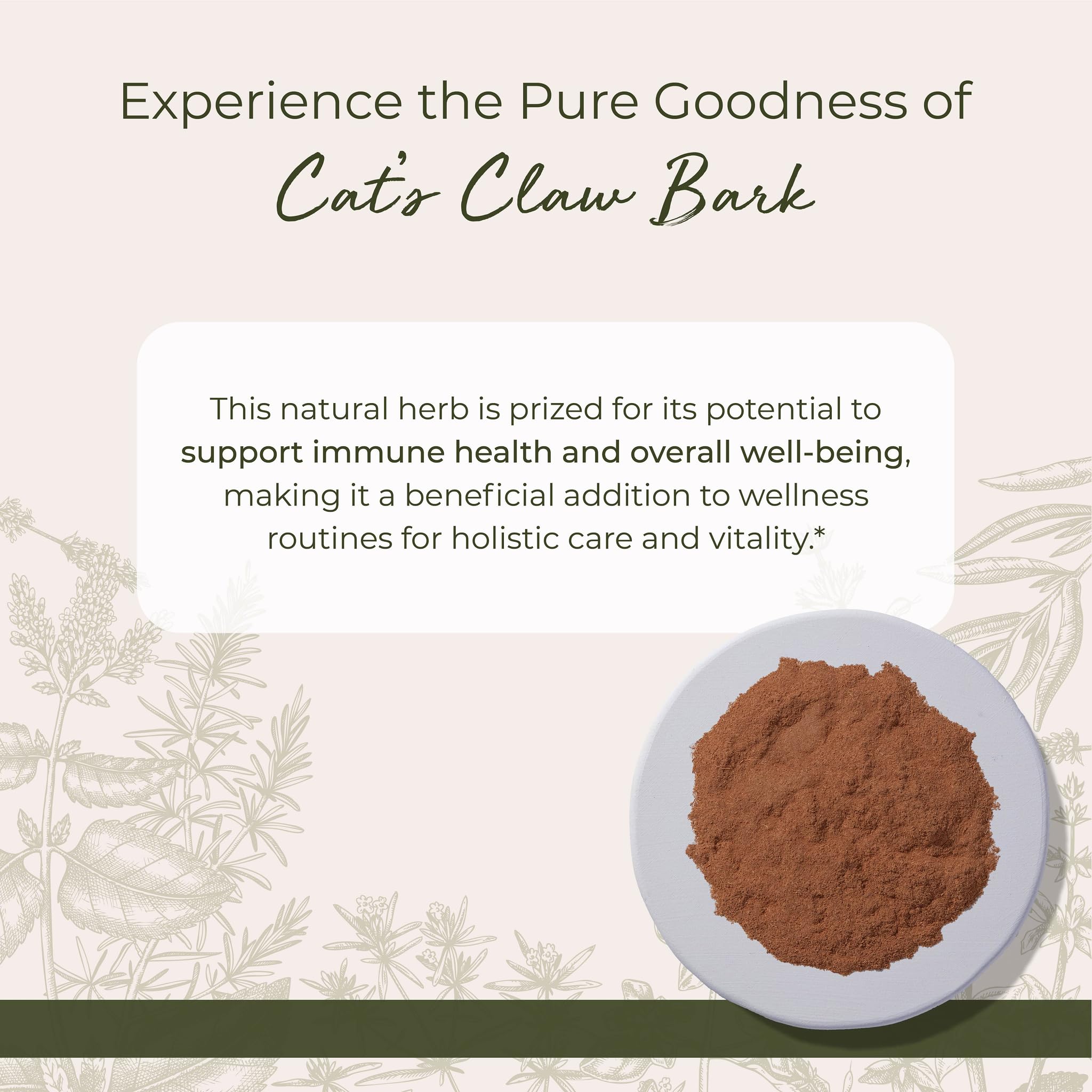 Close-up of Cat's Claw bark powder texture