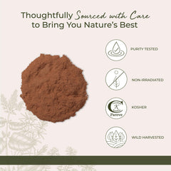 Cat's Claw bark powder used in tea or smoothies