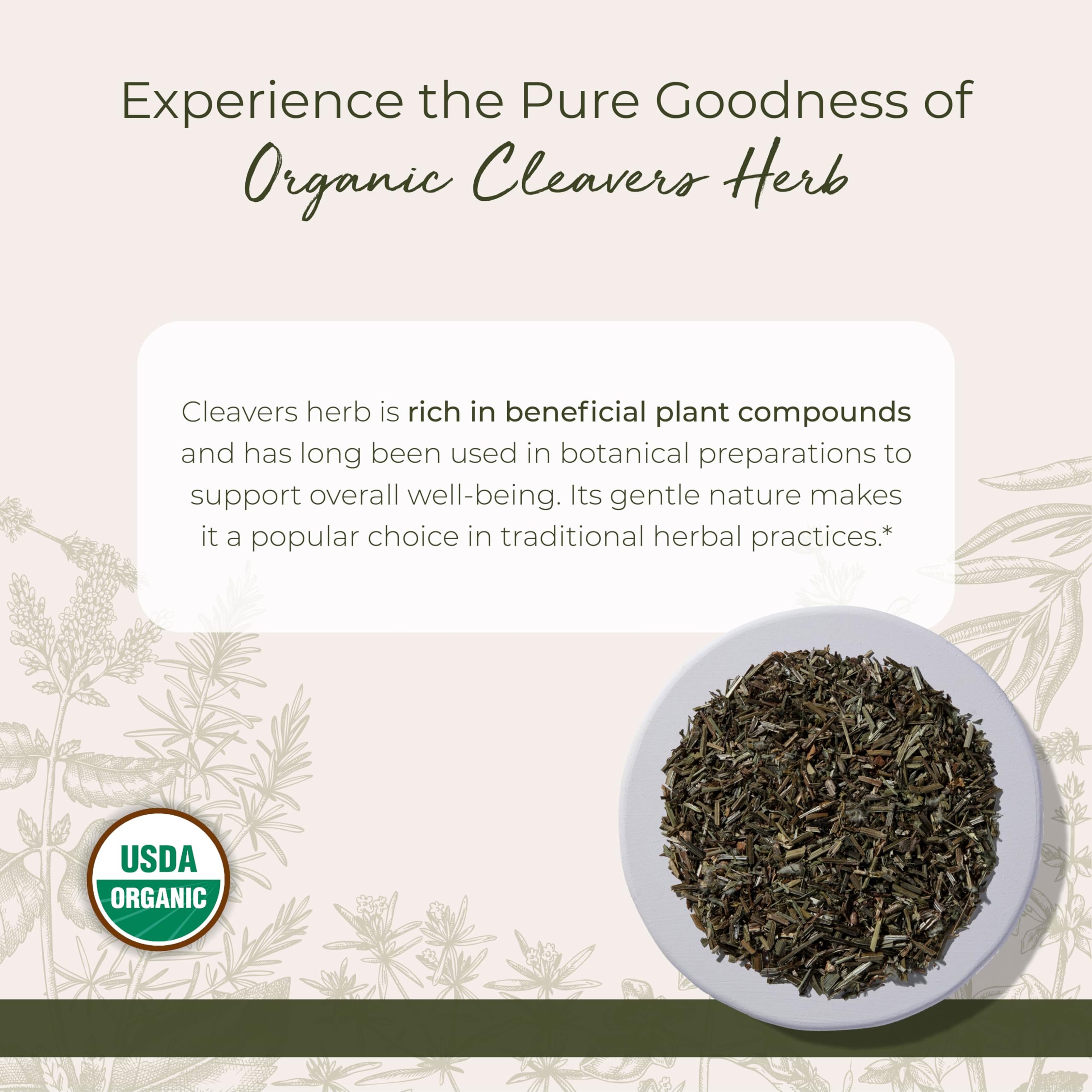 Cleavers herb for tea, tinctures, and herbal blends