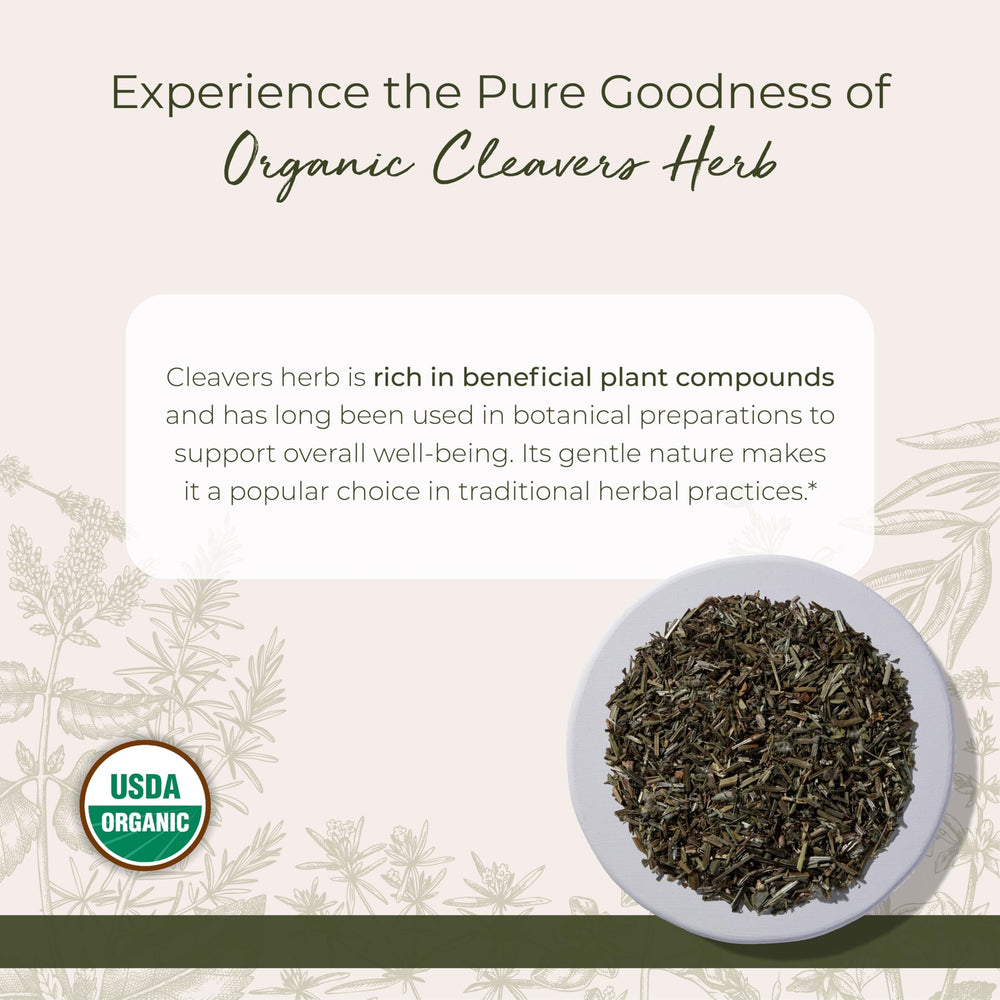 Cleavers herb for tea, tinctures, and herbal blends
