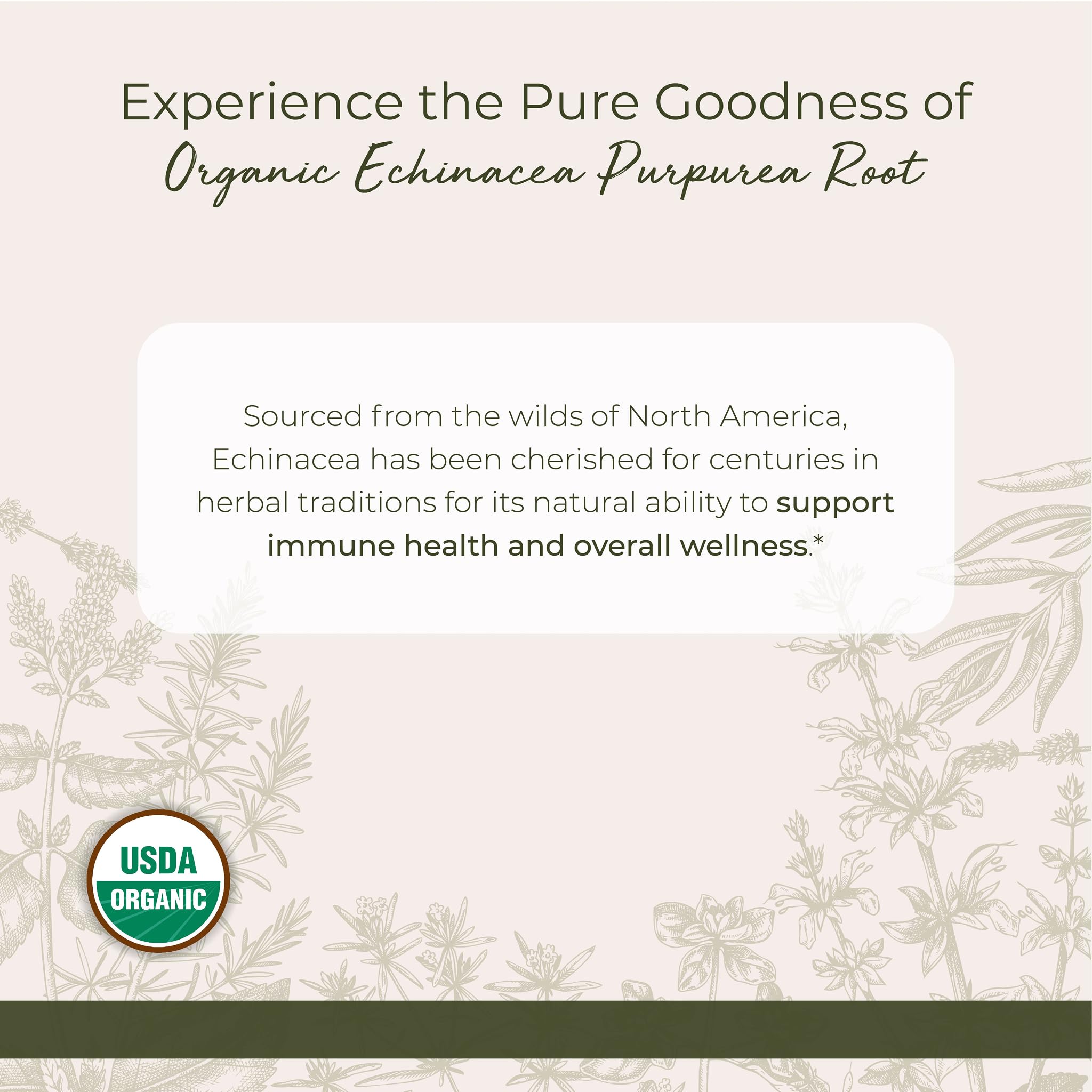 Dried Echinacea Purpurea root powder packaging from Starwest Botanicals