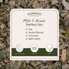Ginkgo biloba leaves, vibrant green for tea and blends
