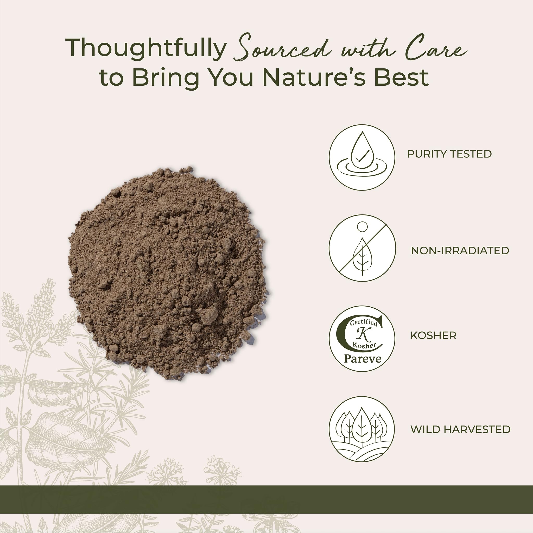Kava powder added to a cup of tea