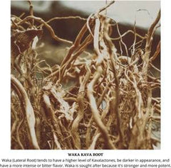 Origin: Fiji – Kava Kava Root C/S by Starwest Botanicals