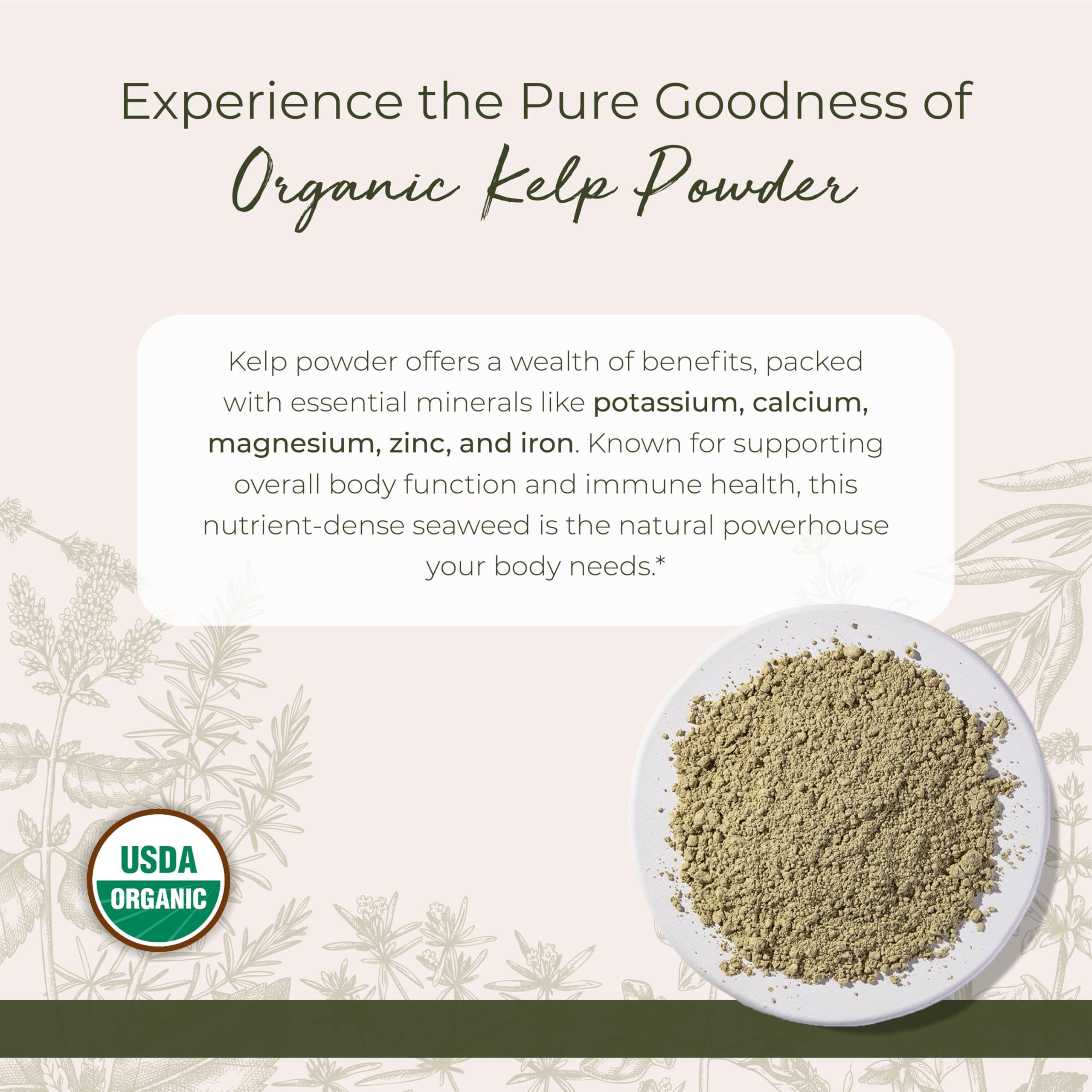Close-up of kelp powder texture showing mineral-rich powder