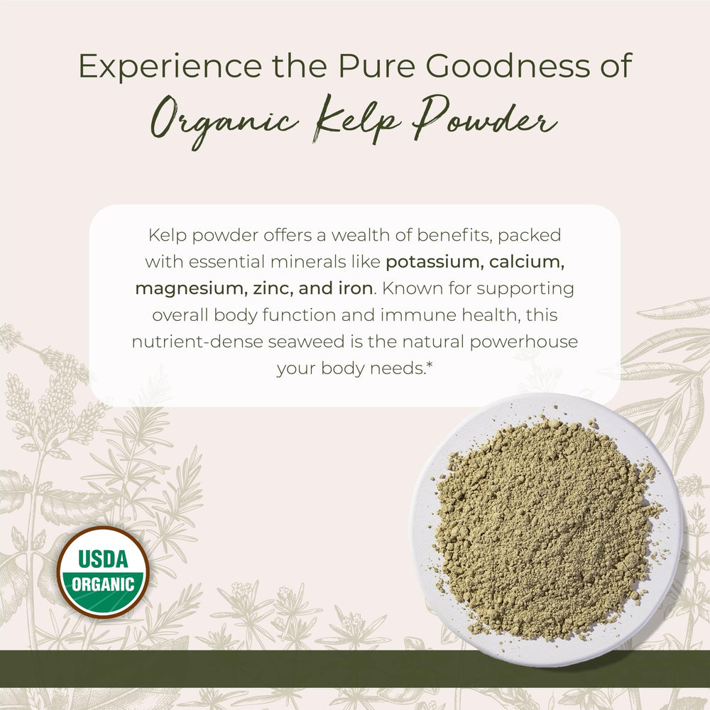 Close-up of kelp powder texture showing mineral-rich powder