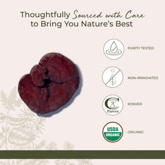 Dried red reishi mushrooms on a kitchen counter