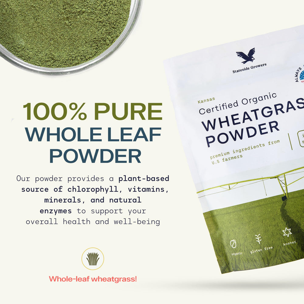 Stateside Growers wheatgrass powder closeup reveals vibrant green color rich in nutrients.