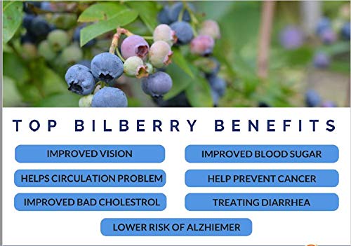 Grapes (Vitis vinifera) ingredient used in STC30
