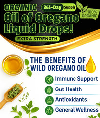 Steam distillation process for oregano oil