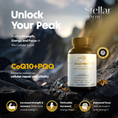 Capsules of Stellar Health Shilajit NAD+ Complex