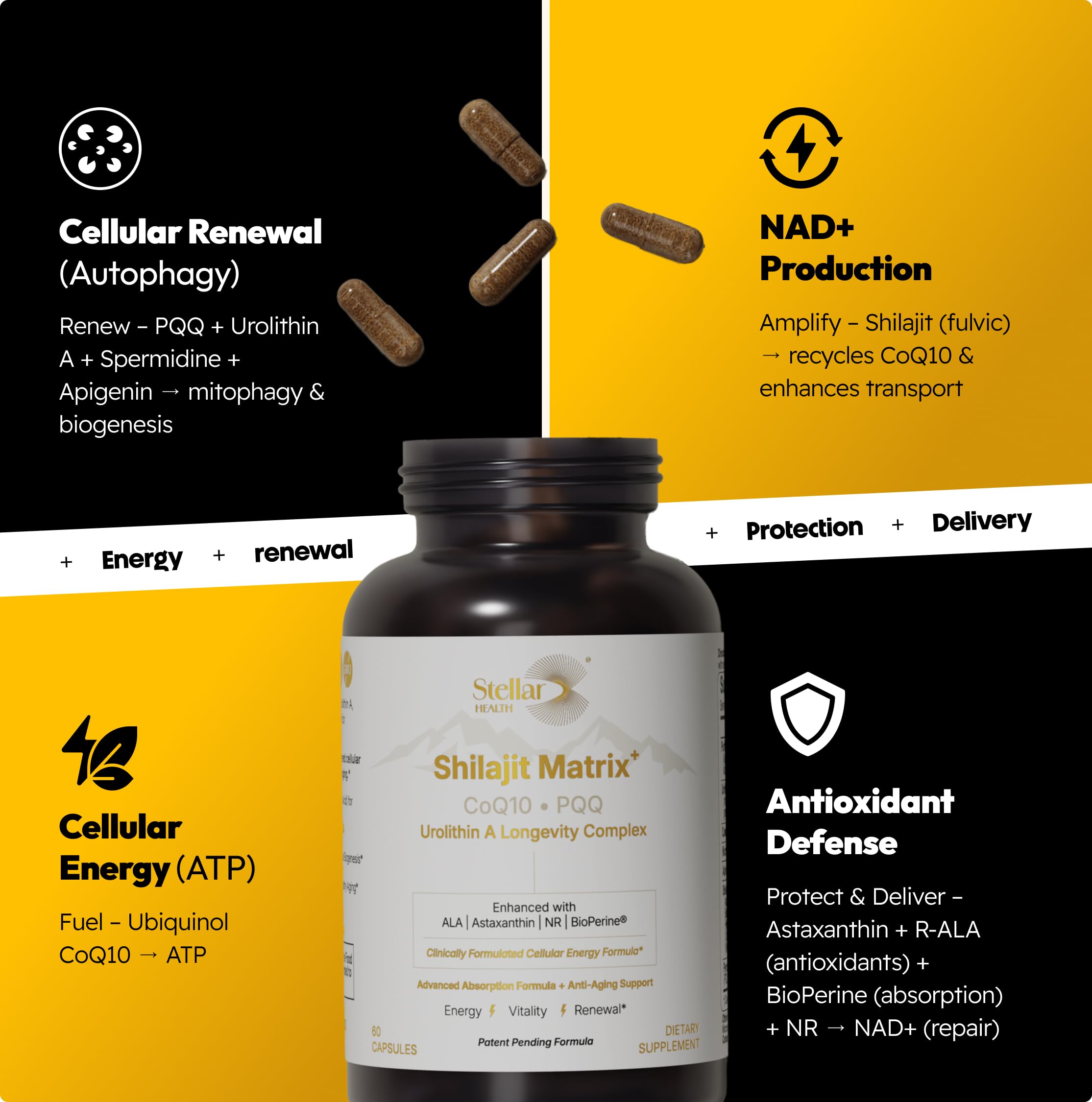 Close-up of Ubiquinol CoQ10 and Shilajit ingredients