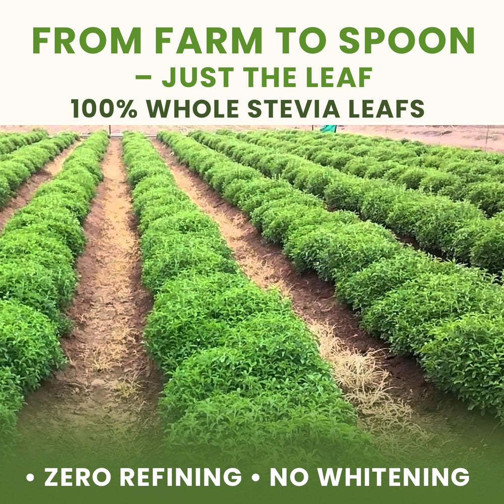 Label showing gluten free vegan and non-GMO on Stevia Powder