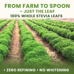 Label showing gluten free vegan and non-GMO on Stevia Powder