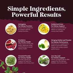 Stinging nettle and astragalus herbal blend for kidney support