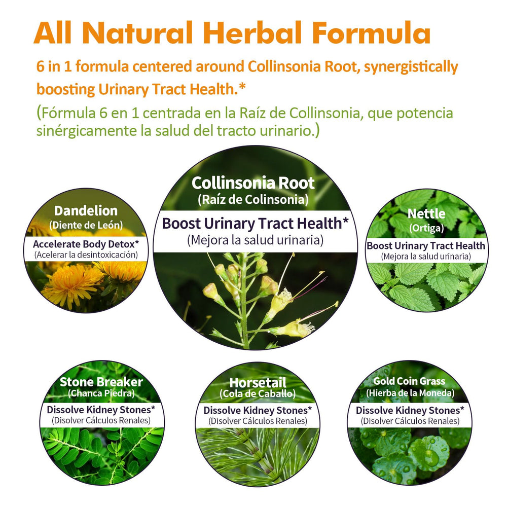 Stone Breaker and Gold Coin Grass herb blend image