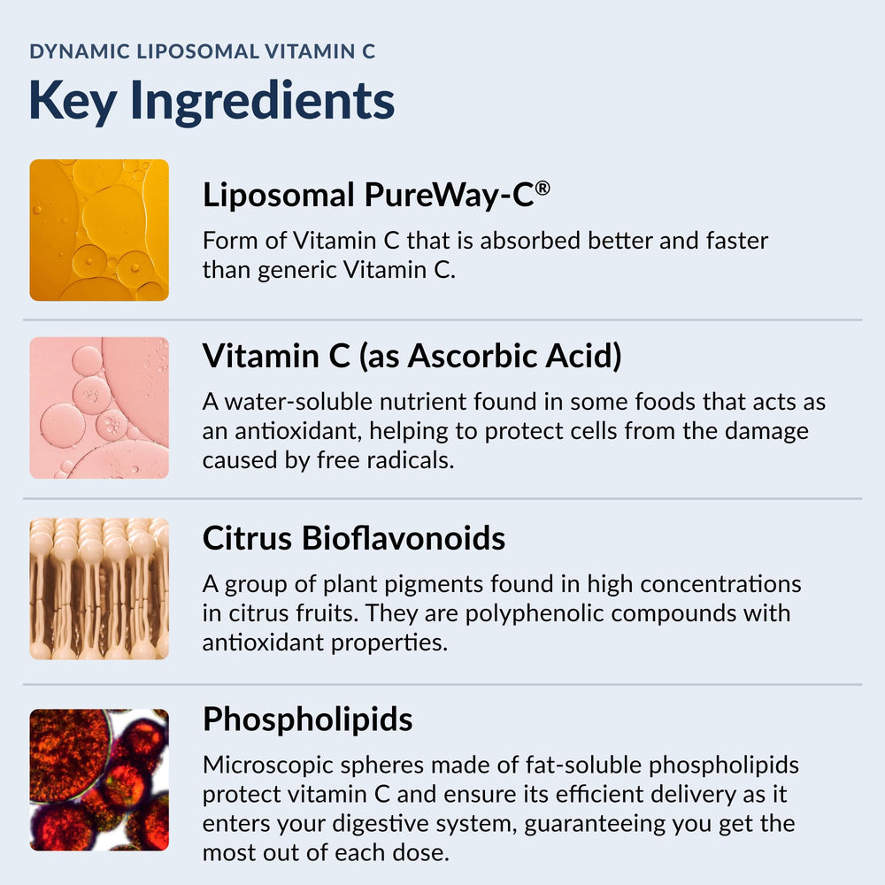 Graphic representing immune support and collagen production