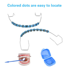 Durable blue storage box for portable braces.