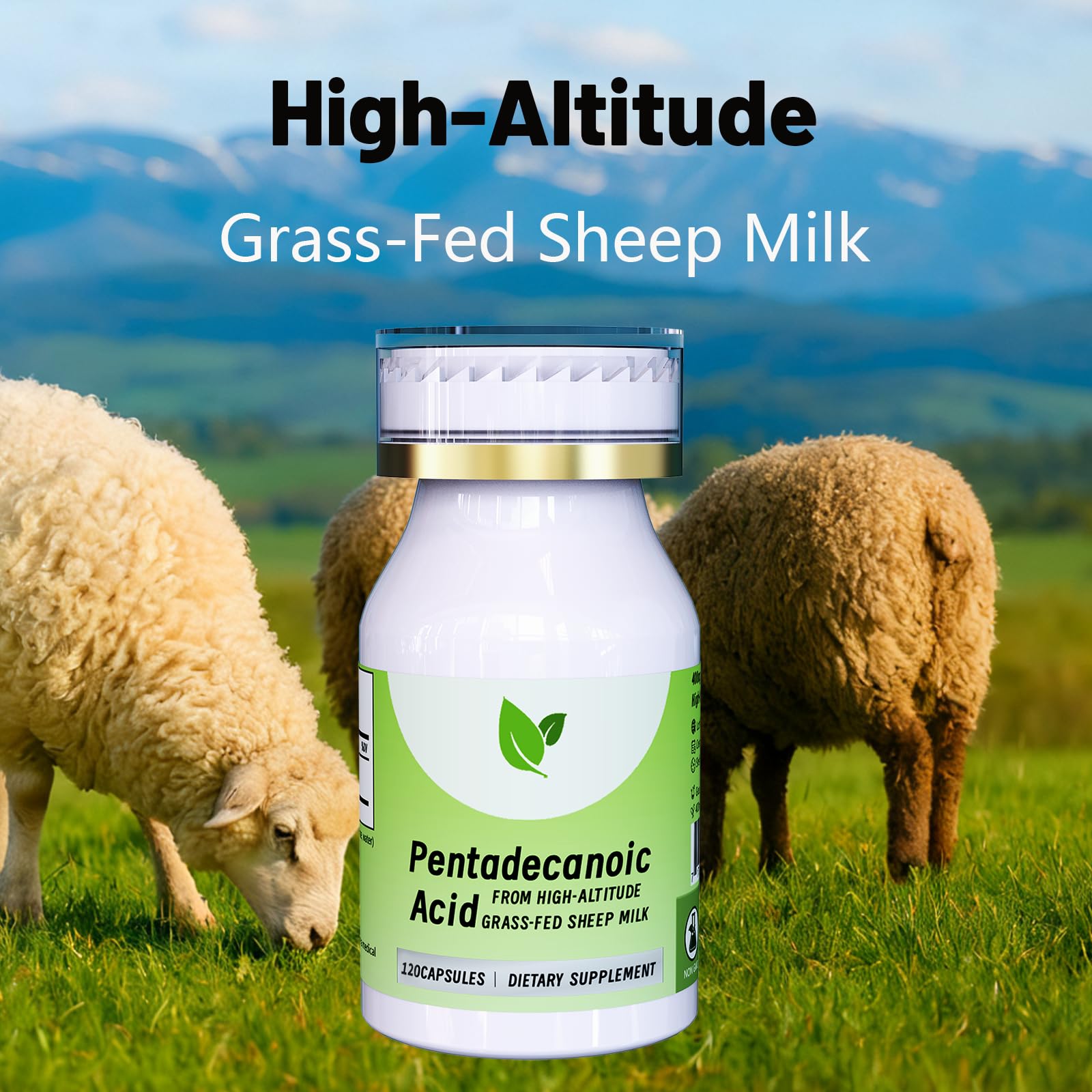 Storage guidance showing cool and dry place