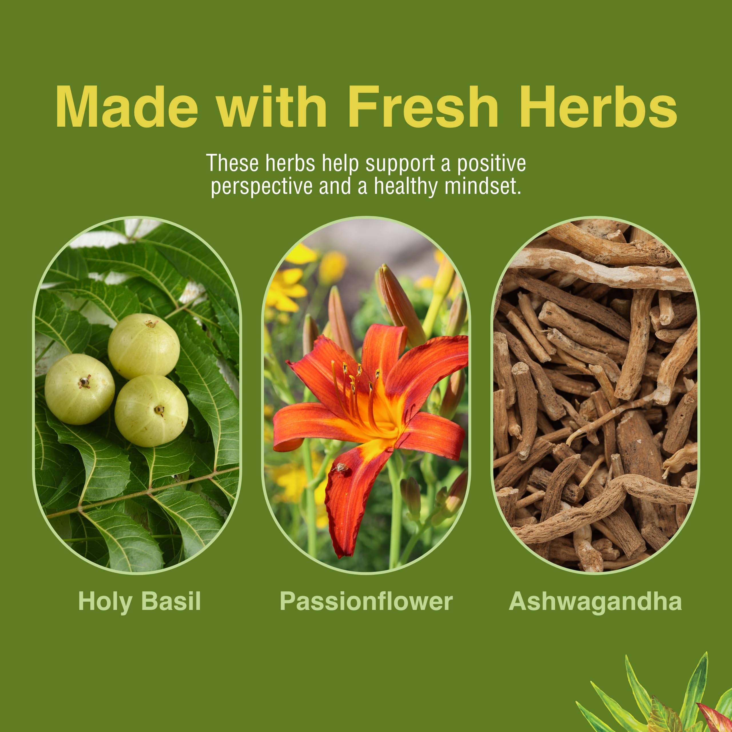 Gluten-free product packaging and labeling