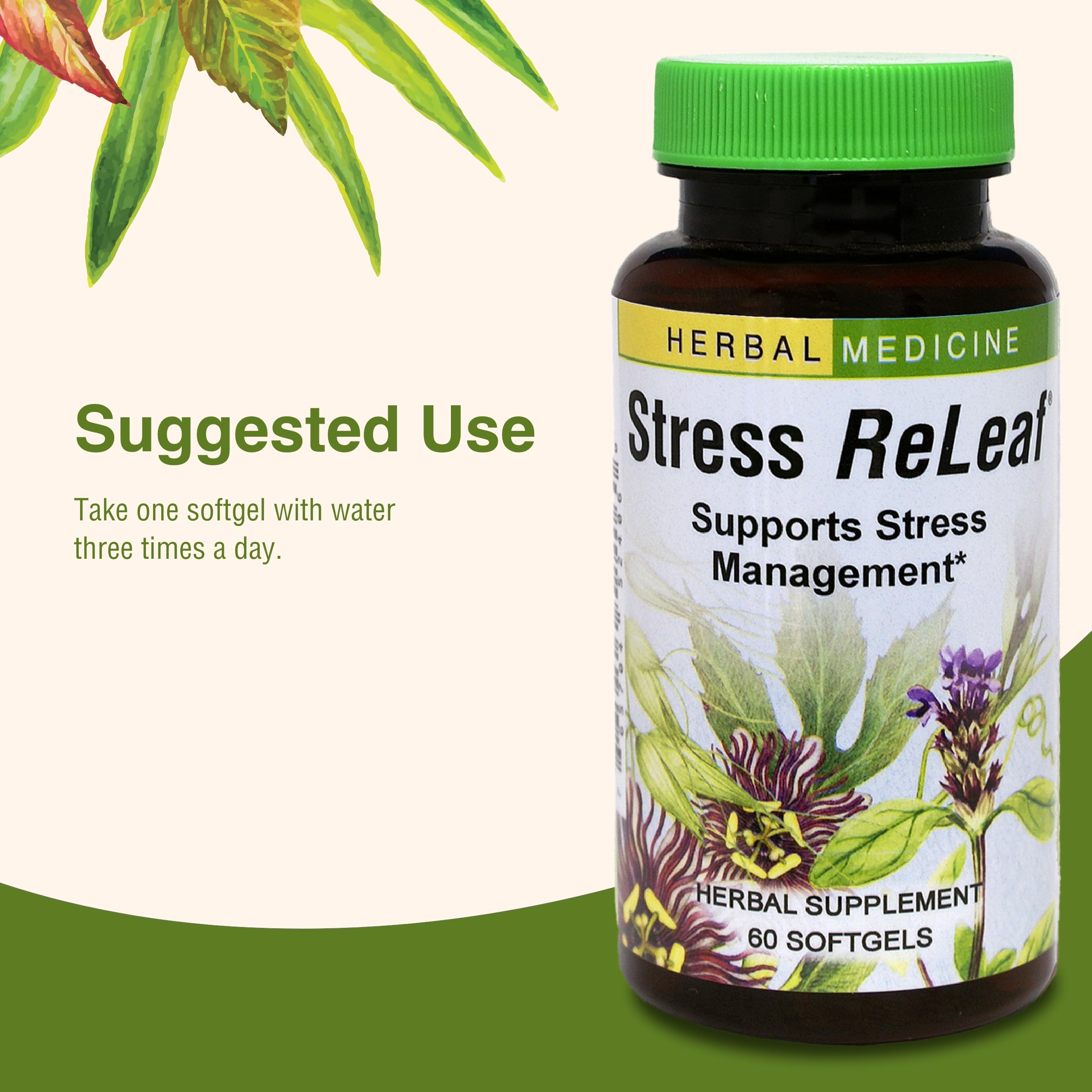 Wellness lifestyle scene with Stress ReLeaf backdrop