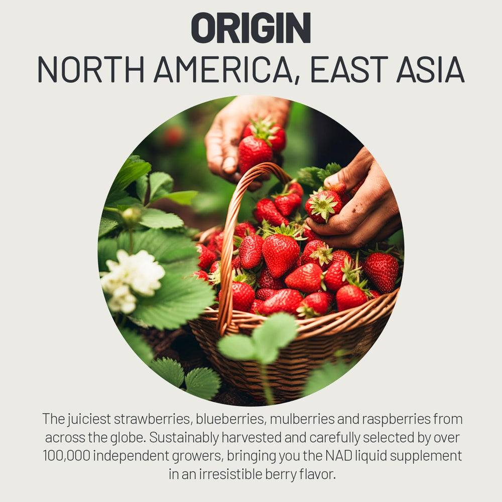 Illustration of rapid absorption and sublingual delivery