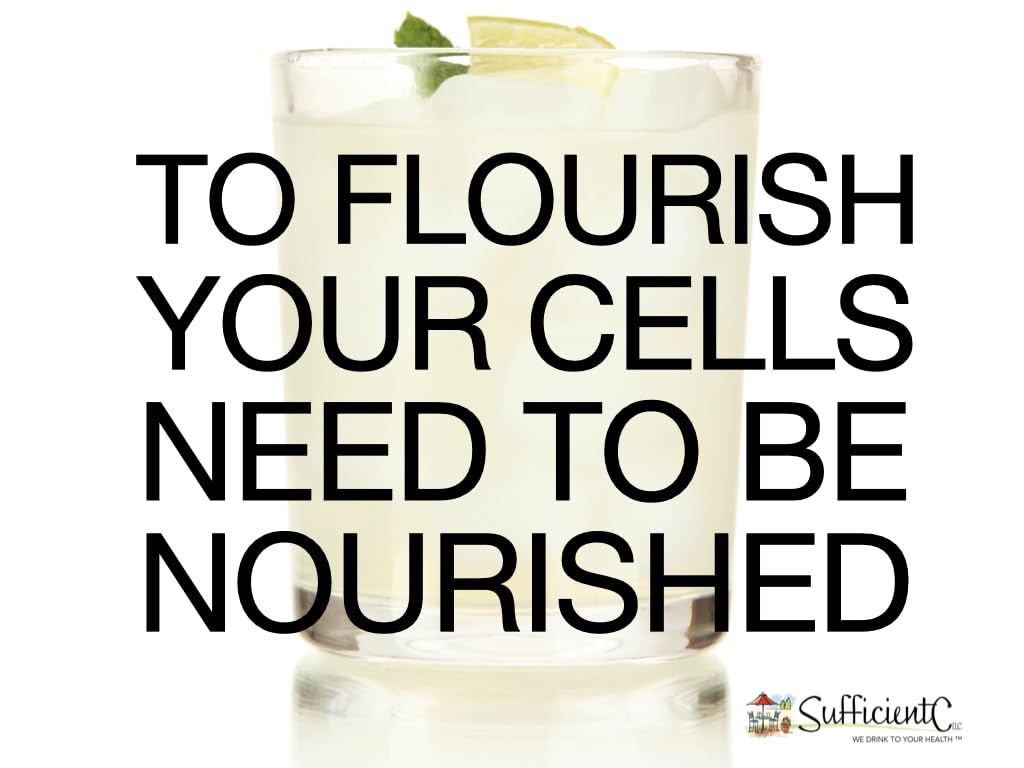 Ideal for college students and travelers