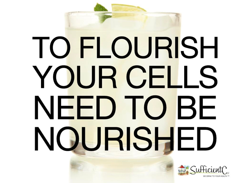 Ideal for college students and travelers