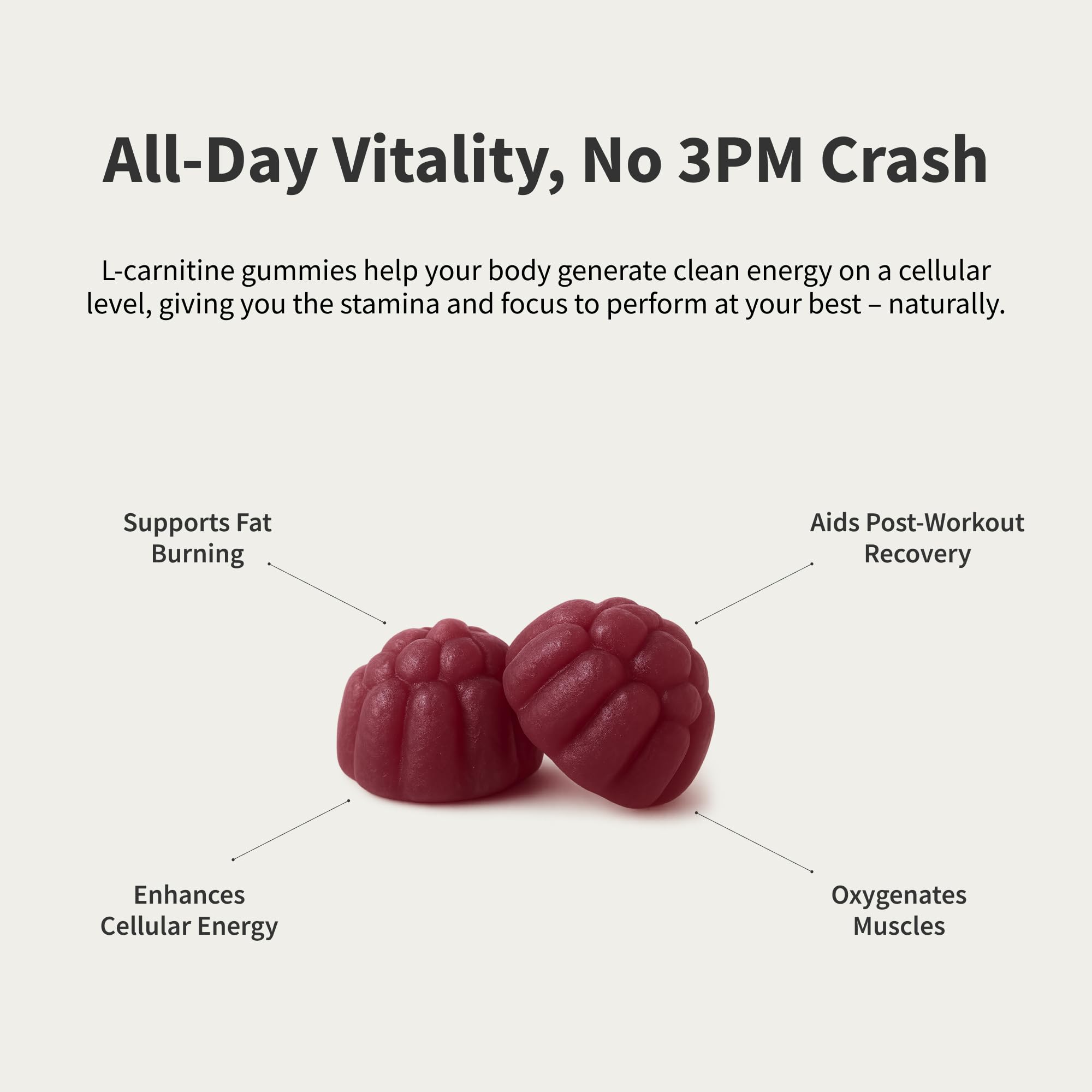 Ingredients list for Sugar Free L-Carnitine 500mg Gummies