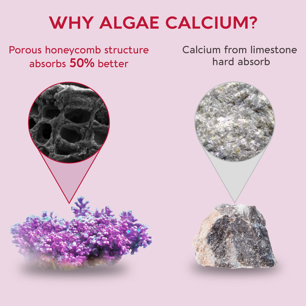 Immune and energy support from B vitamins in gummies