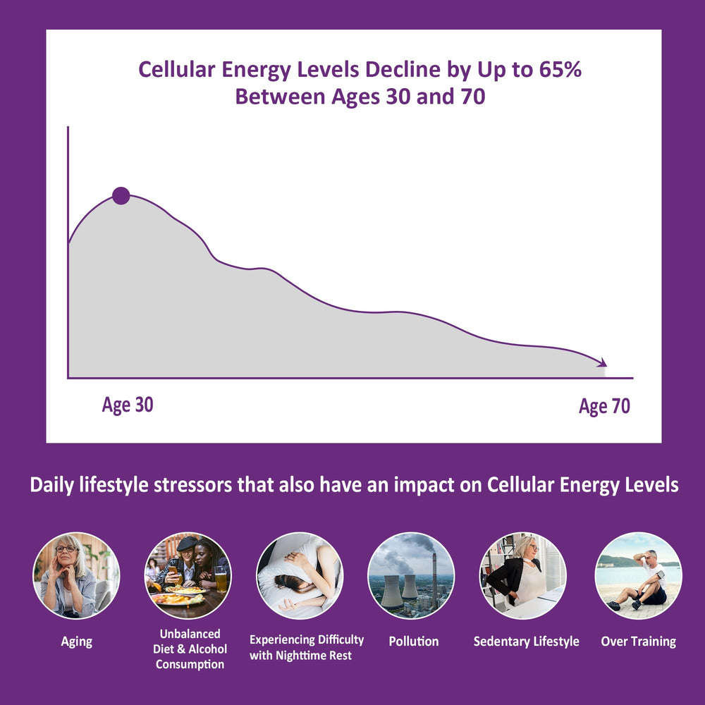 Gummies bottle with Niacinamide label visible