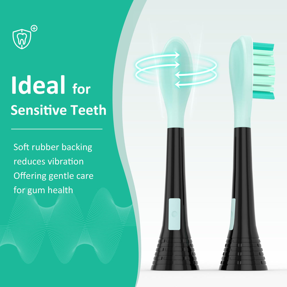 Compatibility of SuitShine heads with Philips Sonicare click-on handles across multiple models