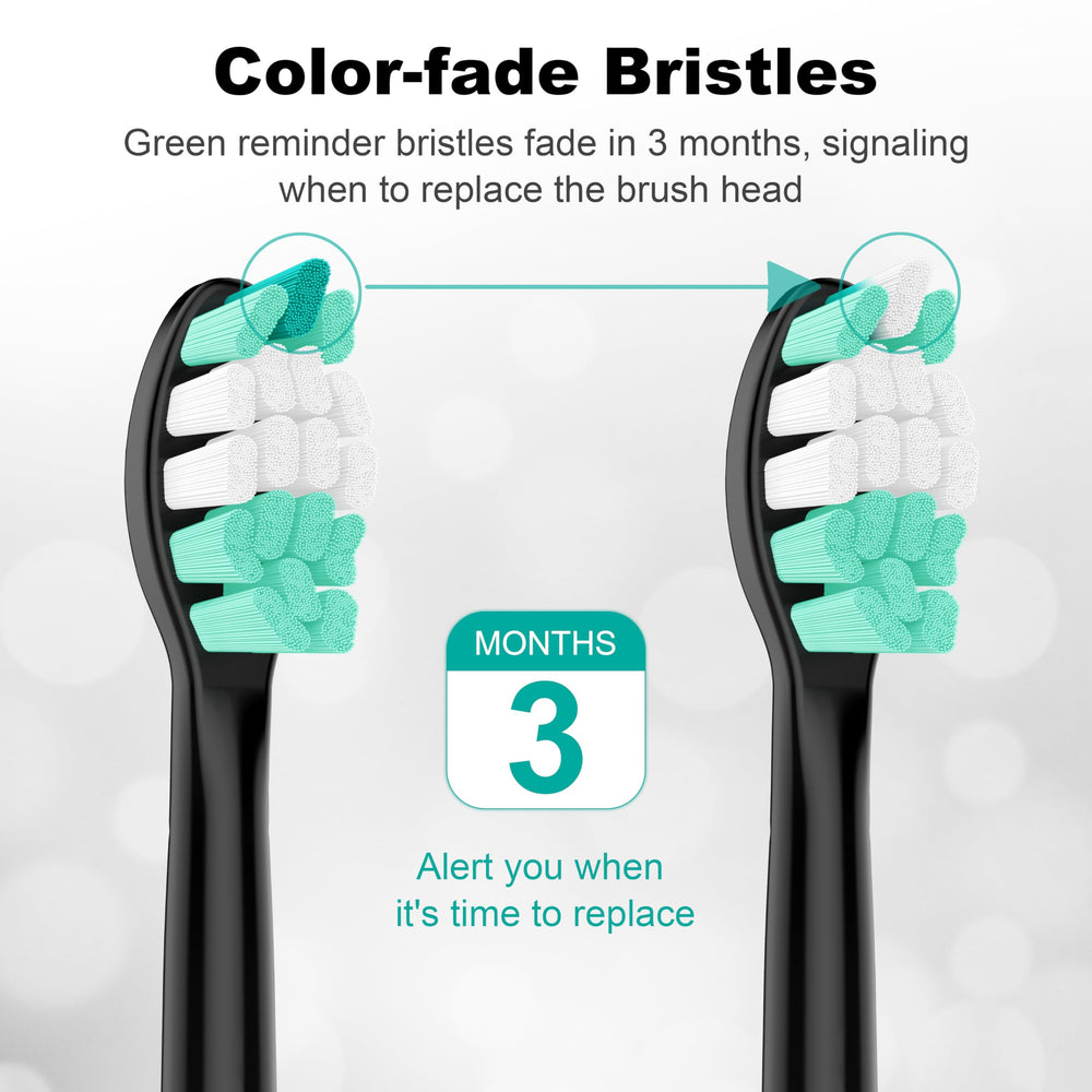 Durable PP material construction of SuitShine heads