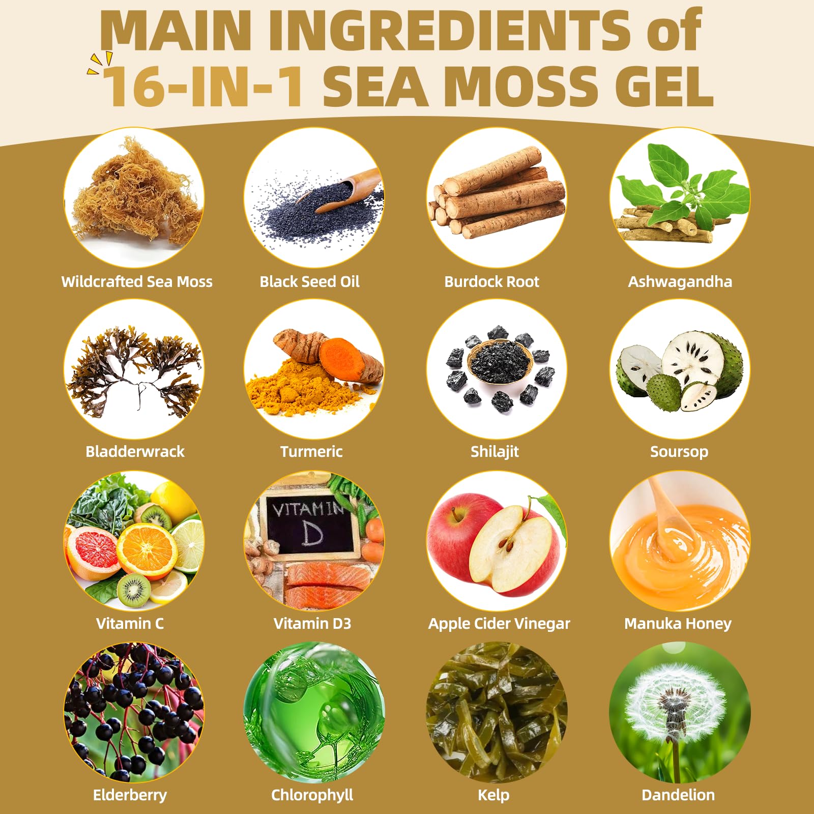 Burdock root ingredient in SumDIP 16-in-1 Sea Moss Gel