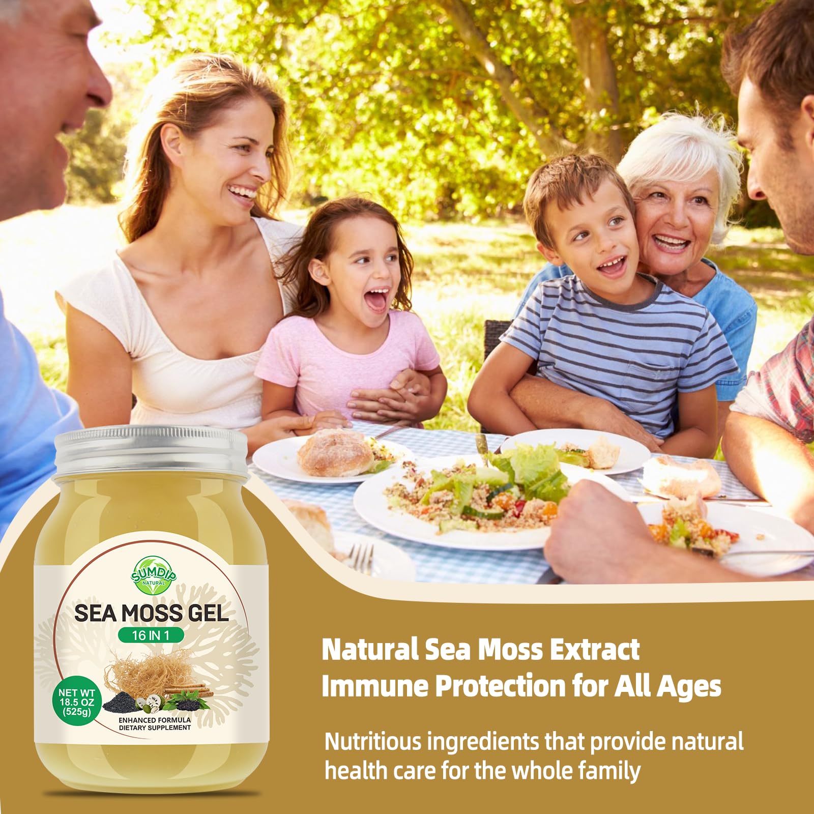 Non-GMO, natural SumDIP Sea Moss Gel bottle