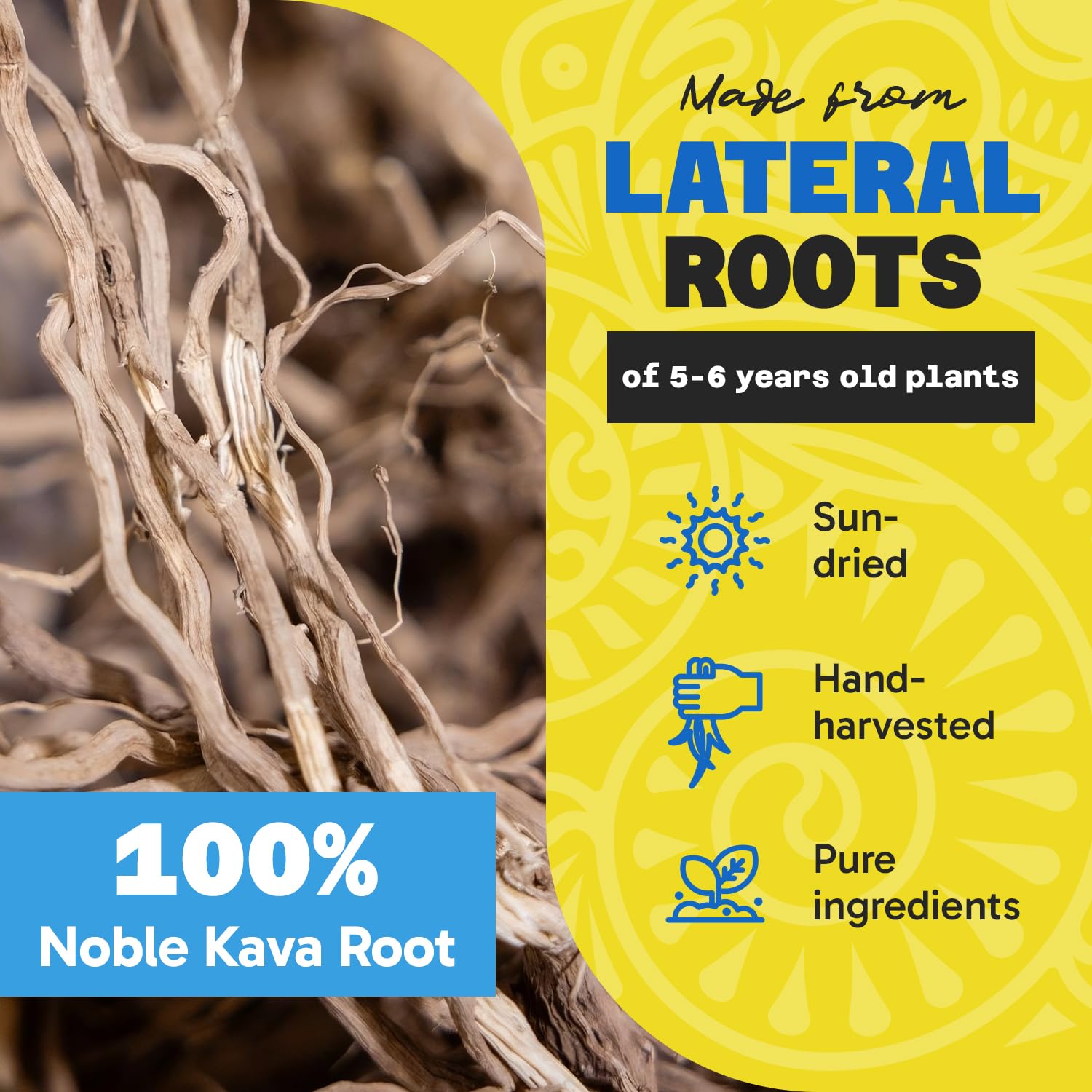 Sun-dried noble kava root powder from lateral roots