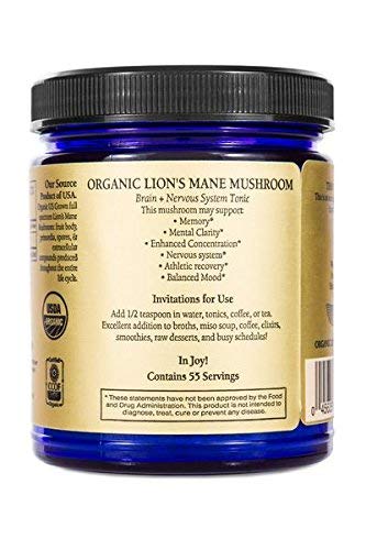 Lion’s Mane mushroom powder bag for mind and nervous system