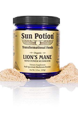 Hero shot: Sun Potion Lion’s Mane Organic powder ready to mix